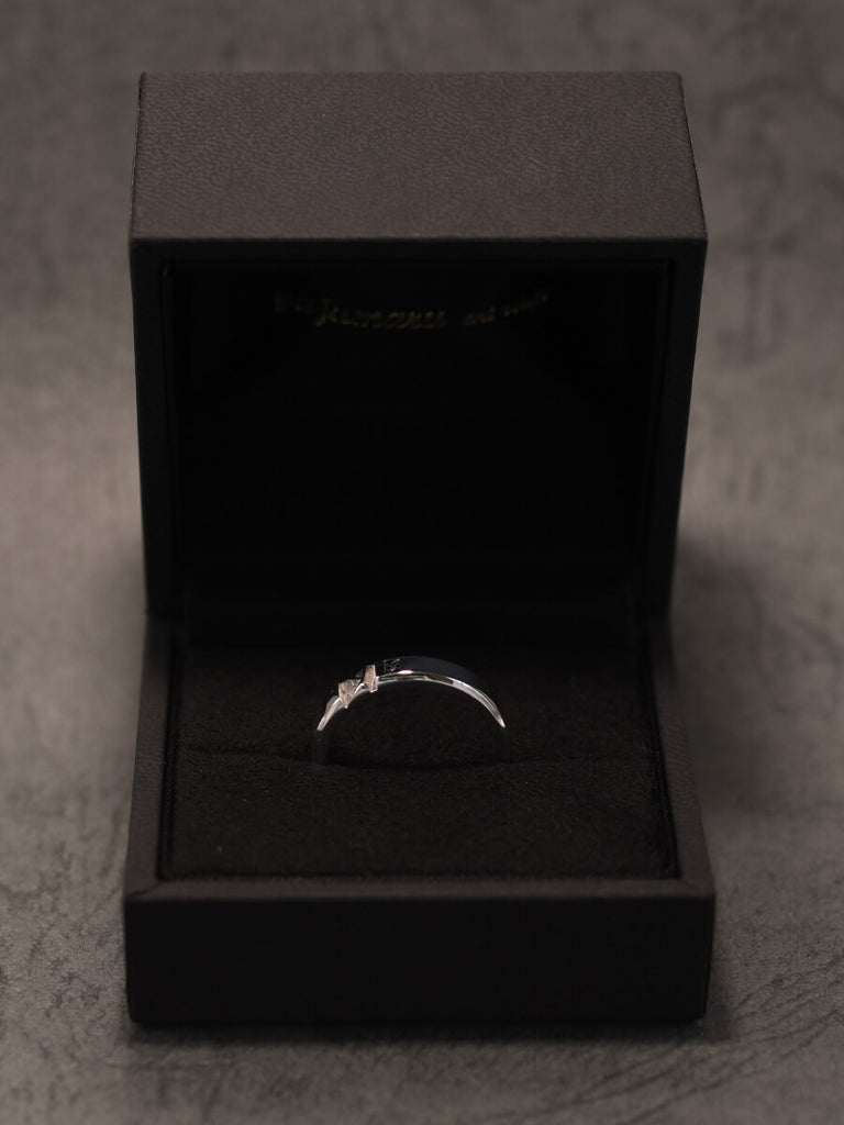 ハードケース付き