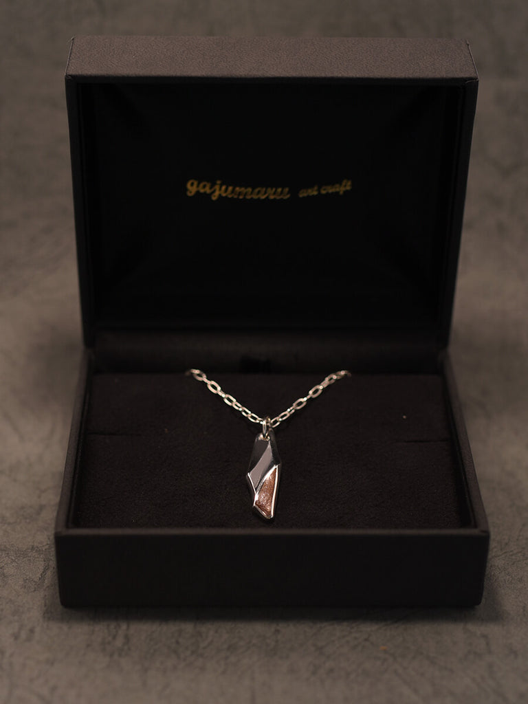 ハードケース付き