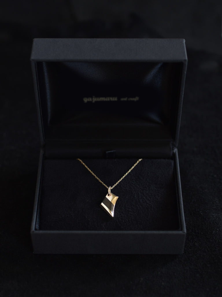 ハードケース付属