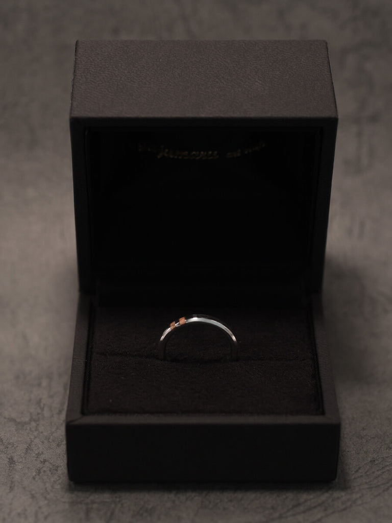 ハードケース付き