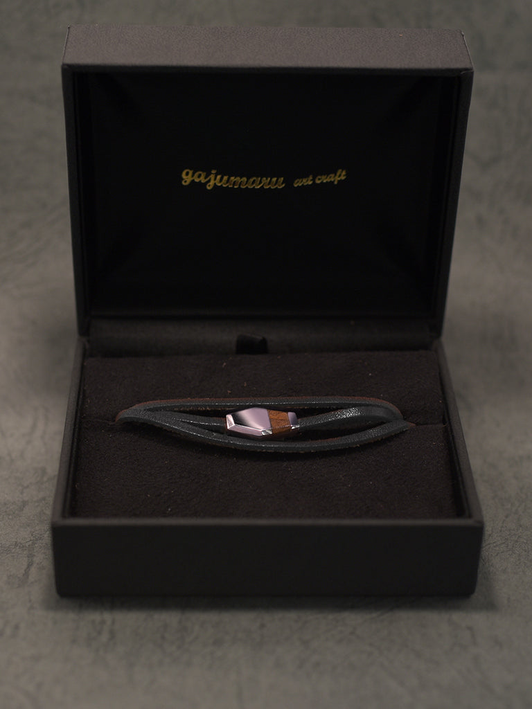 ハードケース付き