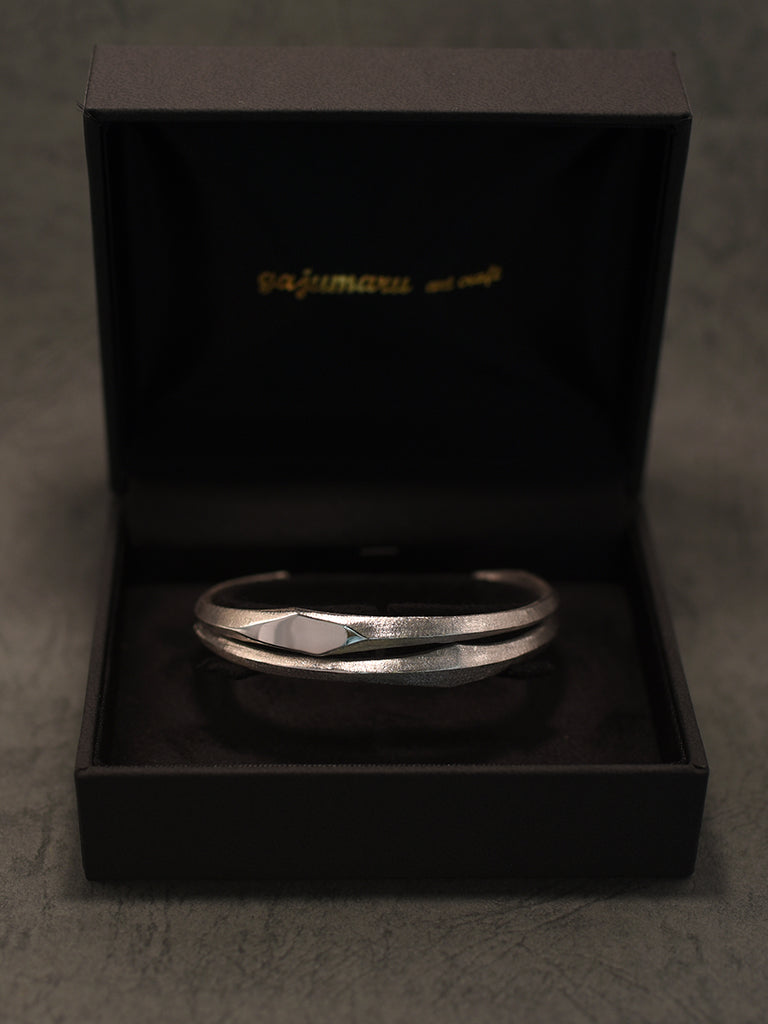 ハードケース付き