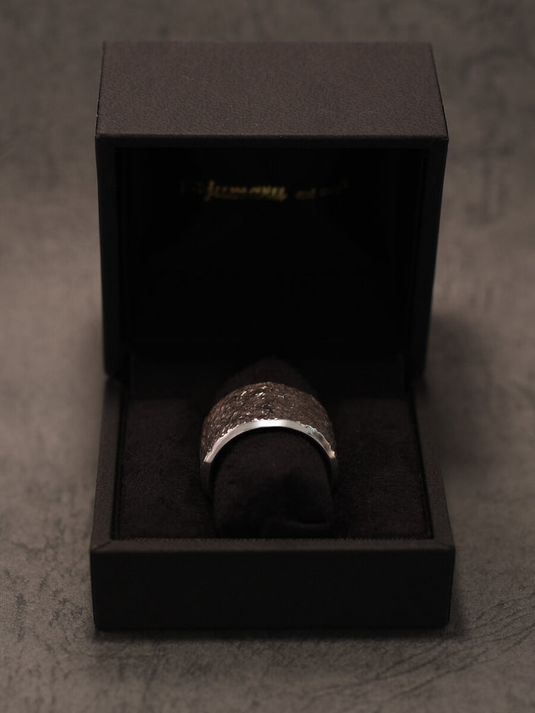 ハードケース付き