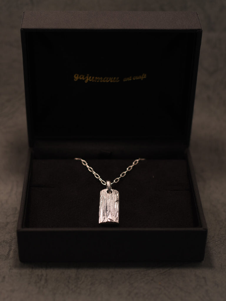 ハードケース付き