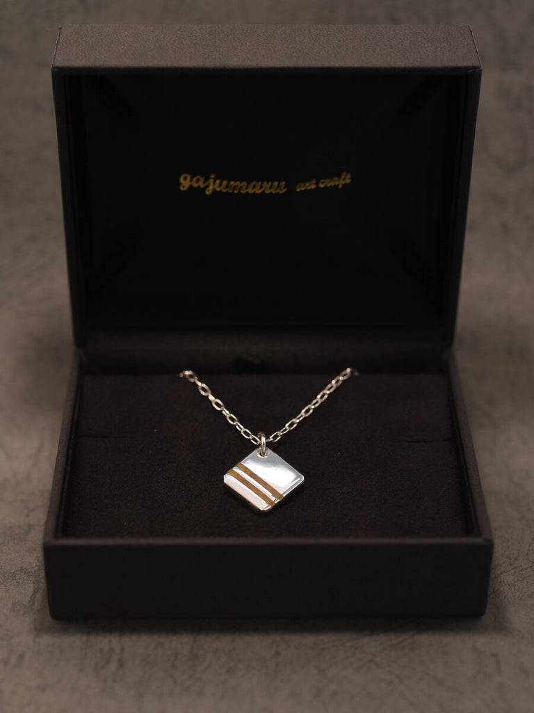 ハードケース付き