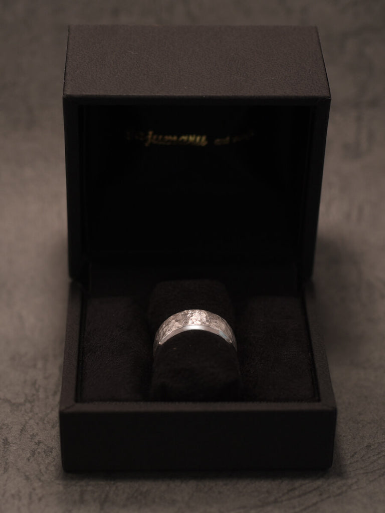 ハードケース付き