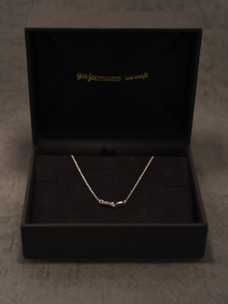 ハードケース付き