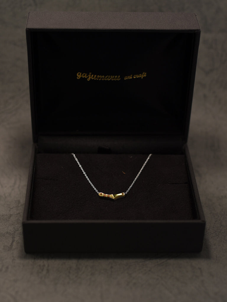 ハードケース付き