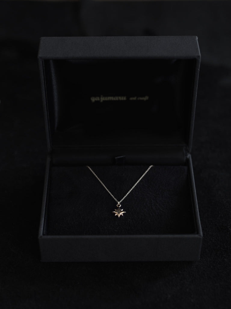 ハードケース付属