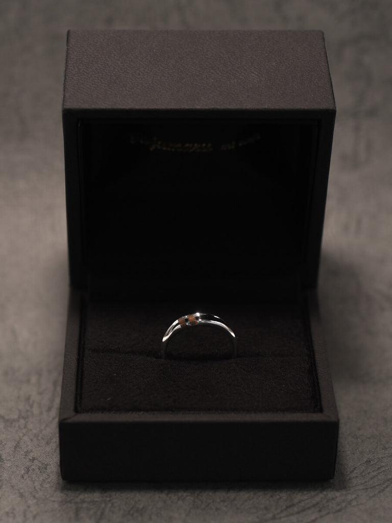 ハードケース付き