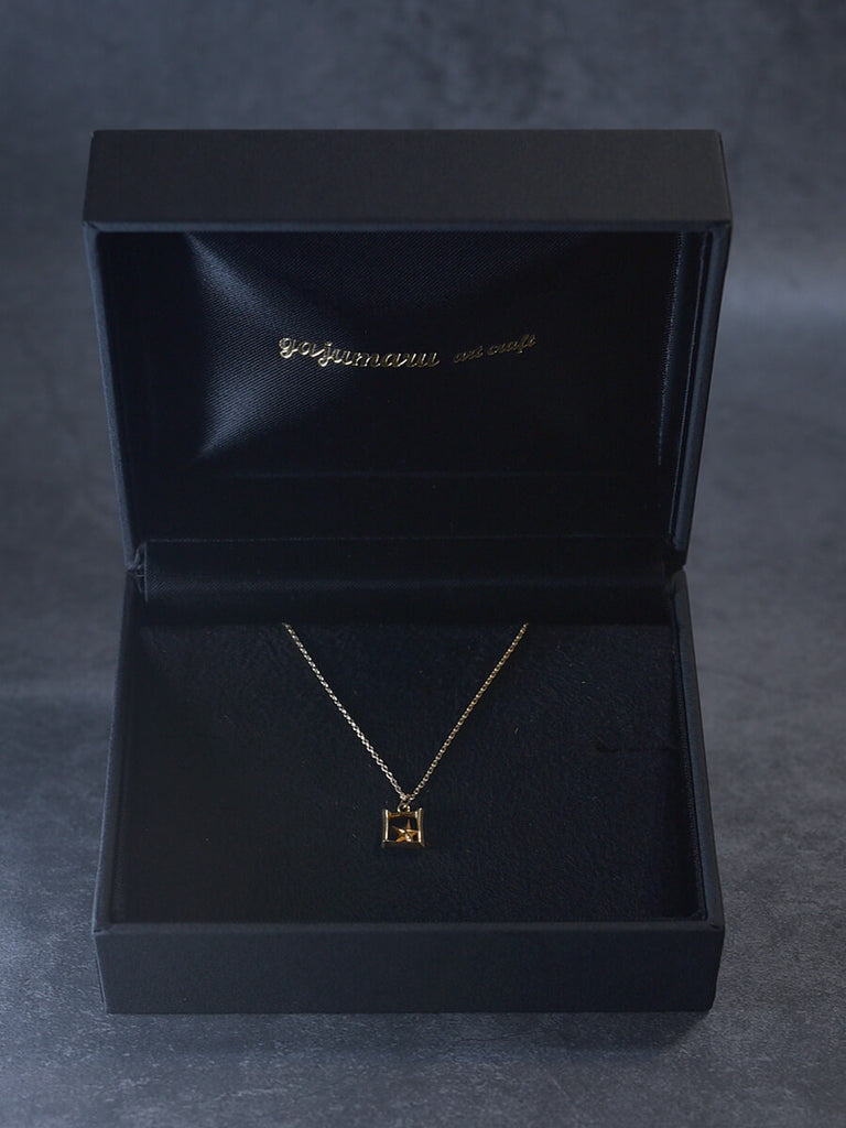 ハードケース付き